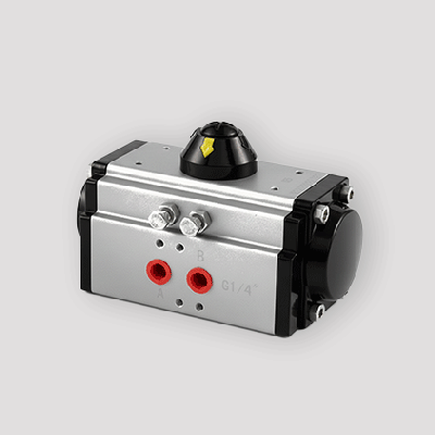 Pneumatic Actuator